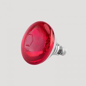 Piglet Infrared Heat Lamp - SHEWUYOU Livestock Equipment