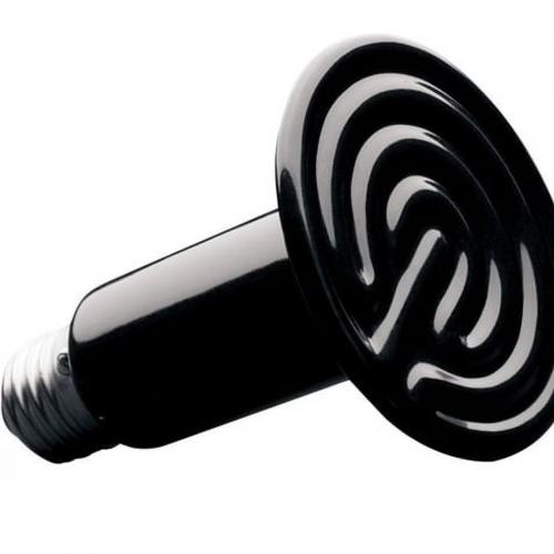 Ceramic Infrared Heat Emitter for Animals - SHEWUYOU Livestock Equipment