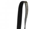 Cow Halter with Adjustable Chin Chain