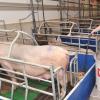 Liquid Feed Carts