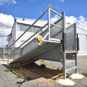 Stationary Sheep Loading Ramp - SHEWUYOU Livestock Equipment