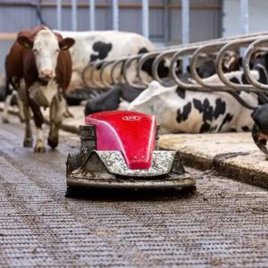 Robotic Manure Scraper for Slatted Dairy Floors - SHEWUYOU Livestock Equipment