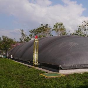 Covered Lagoon Anaerobic Digester System - SHEWUYOU Livestock Equipment