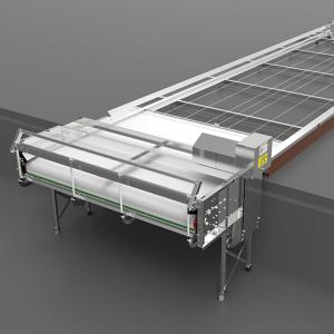 Single Manure Belt System Under Slatted Floors - SHEWUYOU Livestock Equipment