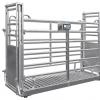 Heavy-Duty Single-Animal Cattle Pen Scale