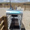 Four-Door Sheep Sorting Scale