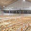 Broiler House Chemical Air Scrubber