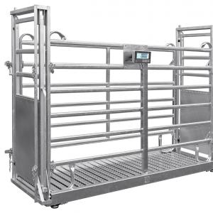 Heavy-Duty Single-Animal Cattle Pen Scale - SHEWUYOU Livestock Equipment