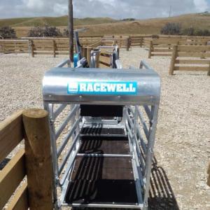 Four-Door Sheep Sorting Scale - SHEWUYOU Livestock Equipment
