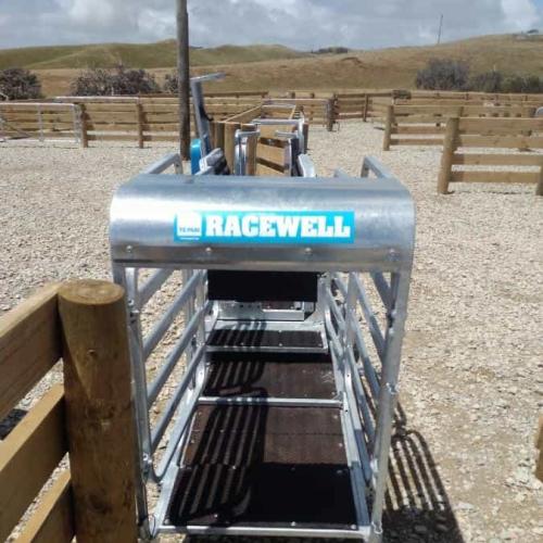 Four-Door Sheep Sorting Scale - SHEWUYOU Livestock Equipment