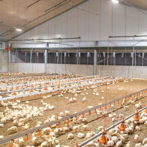 Broiler House Chemical Air Scrubber - SHEWUYOU Livestock Equipment
