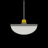 Multi-Color LED Light for Poultry Houses